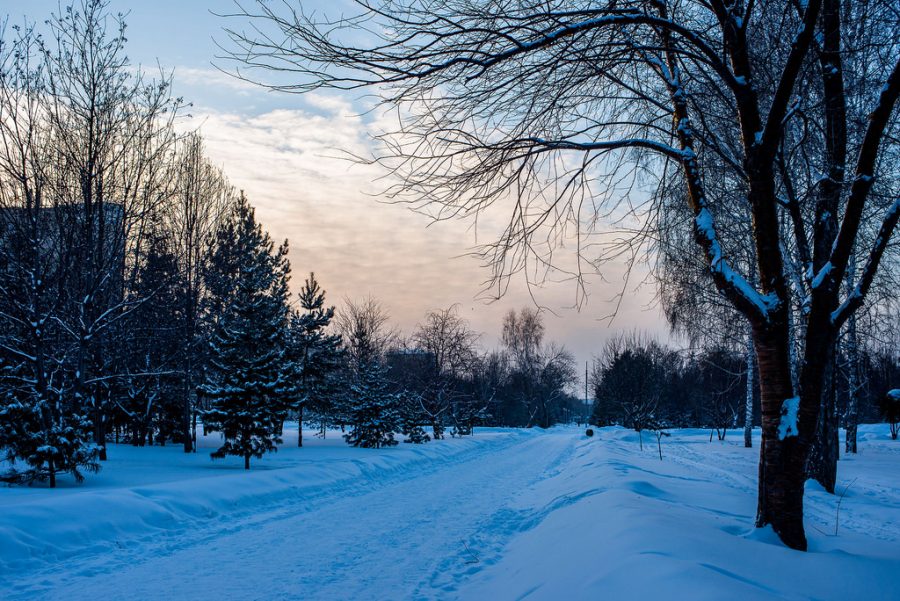 Novosibirsk