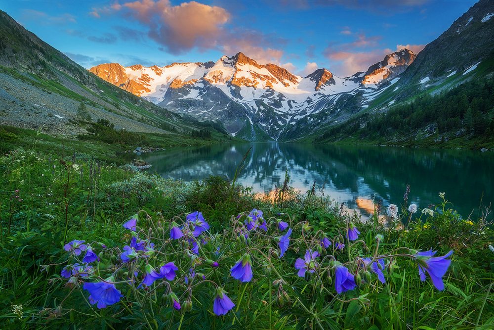 Altai Mountians