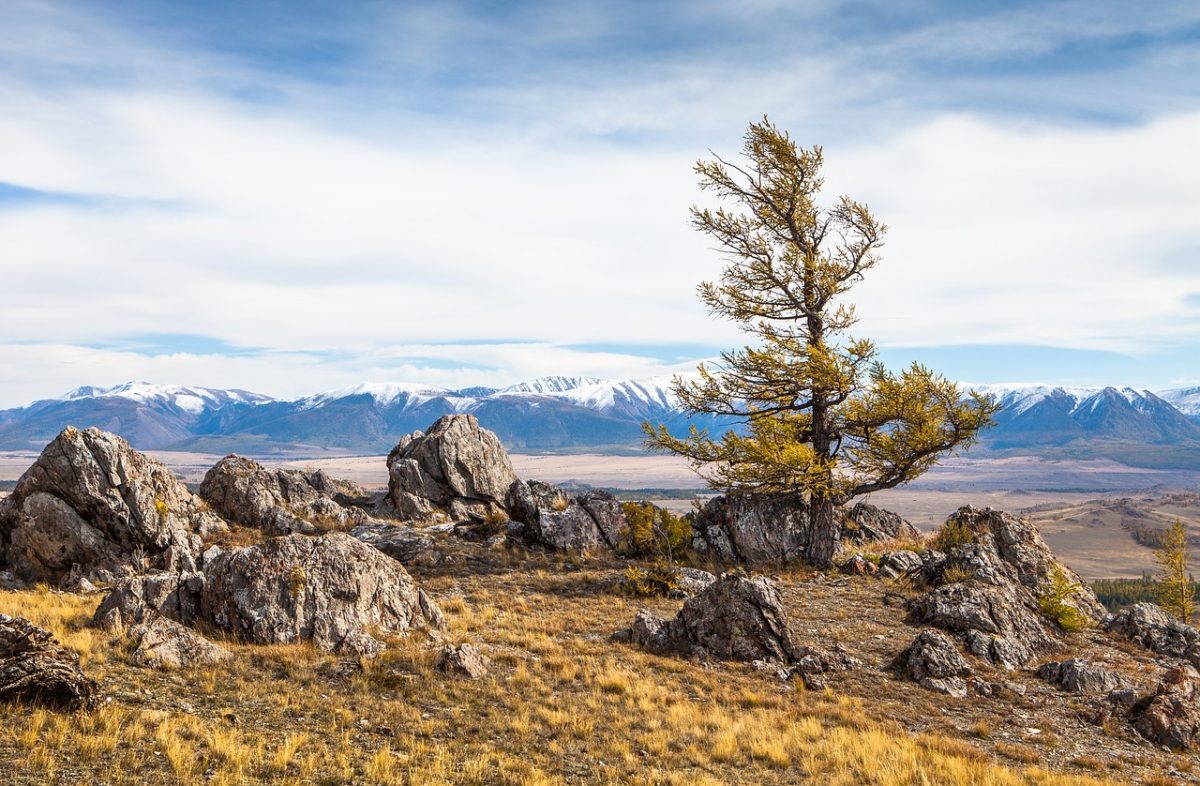 Altai Mountians