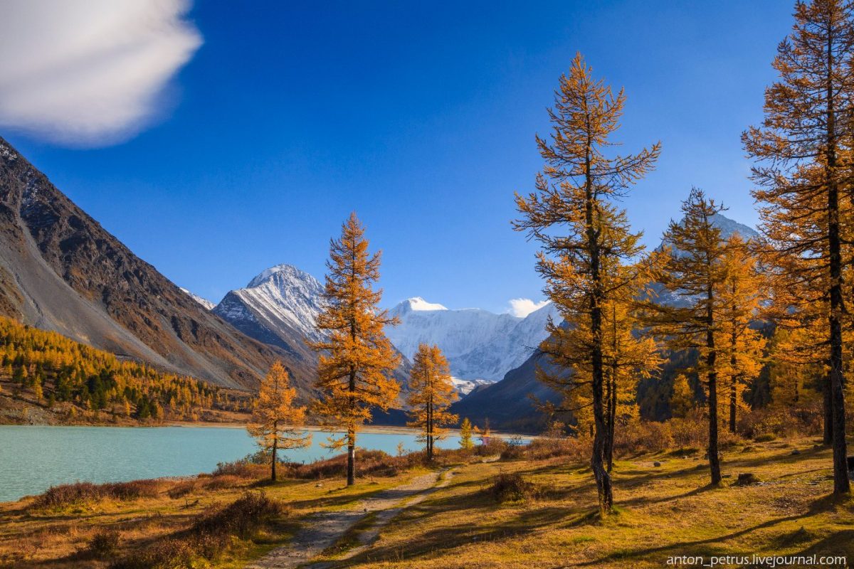 Altai Mountians