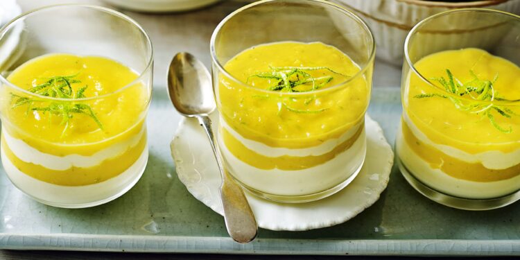 Mousse de manga