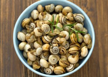 Caracóis à Alentejana