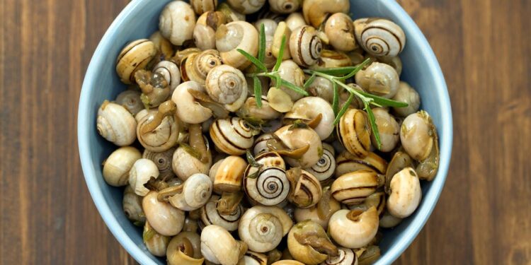 Caracóis à Alentejana