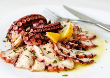 Carpaccio de polvo