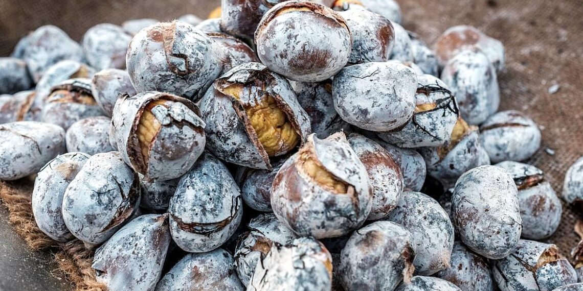 Castanhas assadas no forno