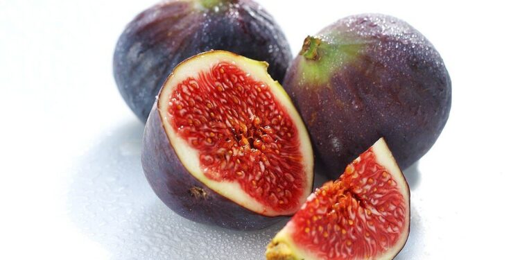 Sobremesa fresca de figos