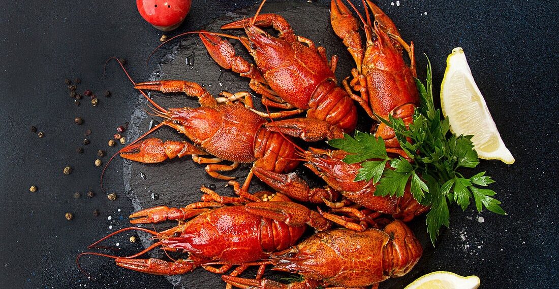 Lagostins cozidos