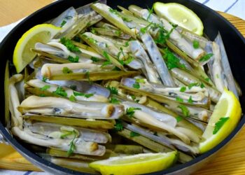 Canivetes à bulhão pato