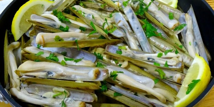 Canivetes à bulhão pato