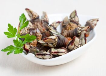 Percebes cozidos