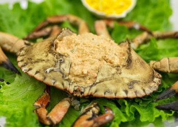 Paté de sapateira (receita simples e fácil)