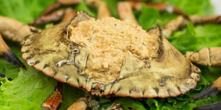Paté de sapateira (receita simples e fácil)