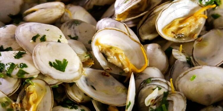 Lambujinhas à bulhão pato