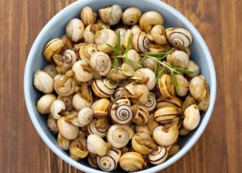 Caracóis à moda antiga