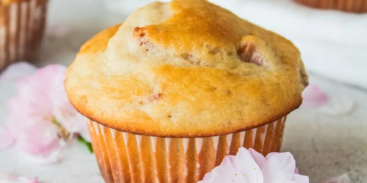 Muffins de iogurte