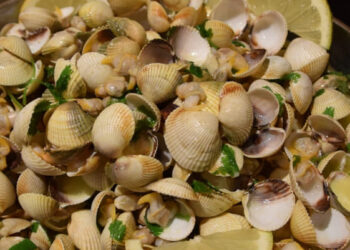 Berbigão à bulhão pato