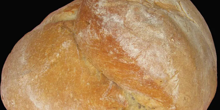 Pão alentejano fácil