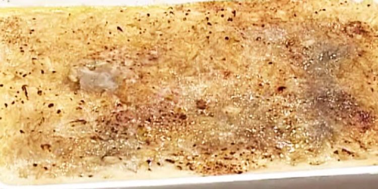 Arroz doce de Natal no forno com crosta de canela