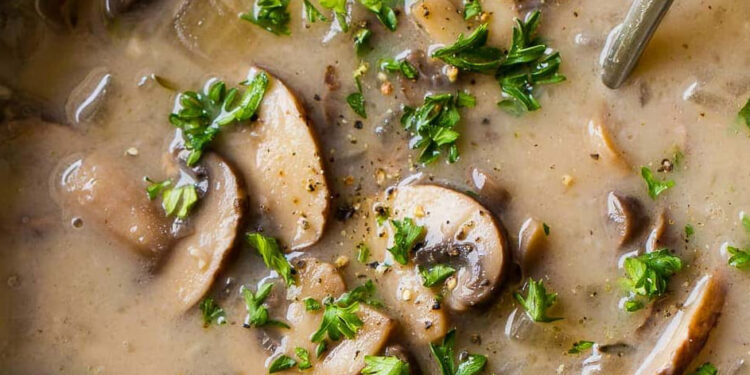 Creme de cogumelos caseiro