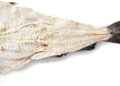 Bacalhau