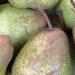 Pera Rocha do Oeste DOP: a história da pera portuguesa que conquistou o mundo