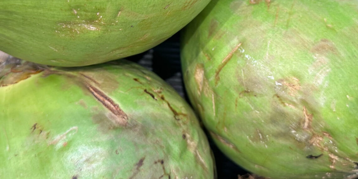 Como escolher um coco verde? O truque para saber se tem muita água