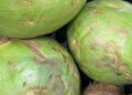 Como escolher um coco verde? O truque para saber se tem muita água