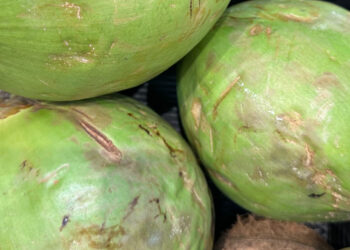Como escolher um coco verde? O truque para saber se tem muita água