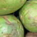 Como escolher um coco verde? O truque para saber se tem muita água