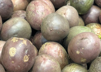 Maracujá dos Açores: a fruta tropical de São Miguel com Denominação de Origem Protegida