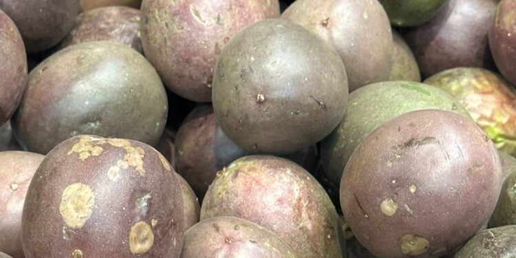 Maracujá dos Açores: a fruta tropical de São Miguel com Denominação de Origem Protegida