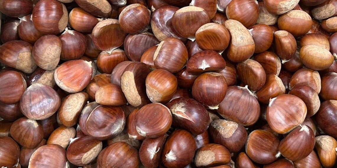 Como descascar castanhas facilmente: o método que realmente funciona