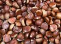 Como descascar castanhas facilmente: o método que realmente funciona
