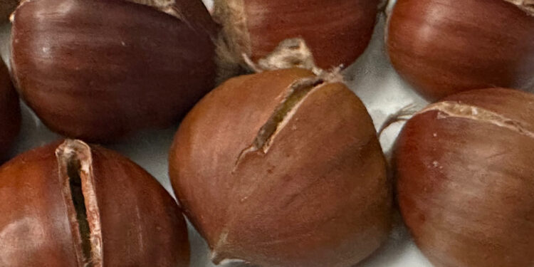 Castanhas portuguesas