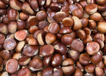 Como descascar castanhas facilmente: o método que realmente funciona
