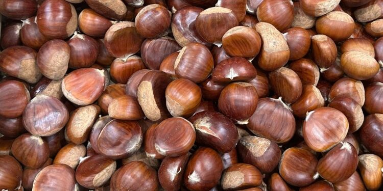 Como descascar castanhas facilmente: o método que realmente funciona
