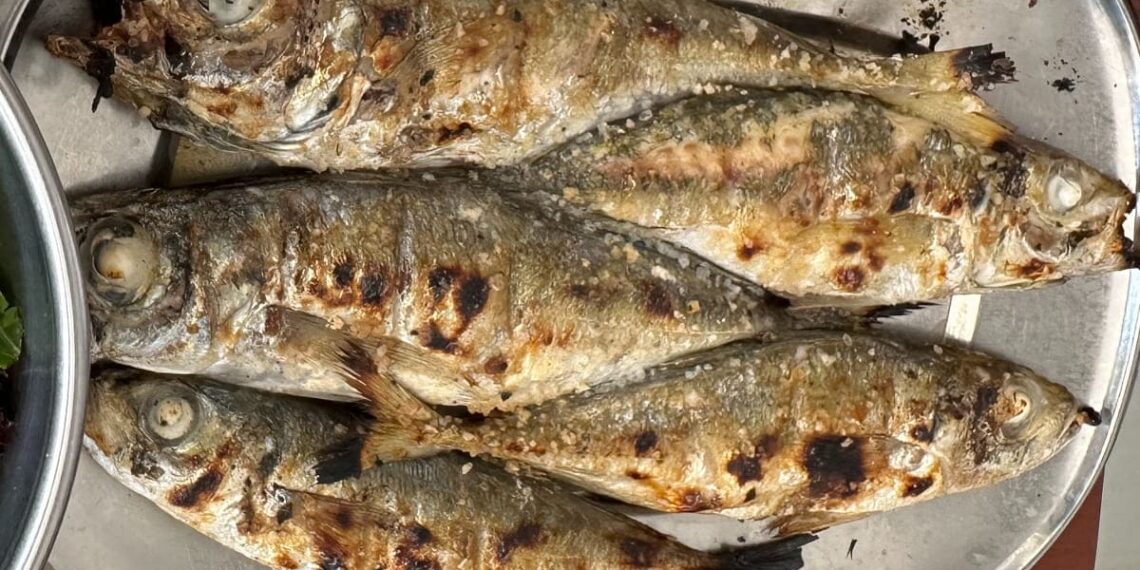 Carapaus grelhados: como fazer no grelhador, forno e air fryer
