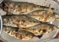 Carapaus grelhados: como fazer no grelhador, forno e air fryer