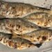 Carapaus grelhados: como fazer no grelhador, forno e air fryer