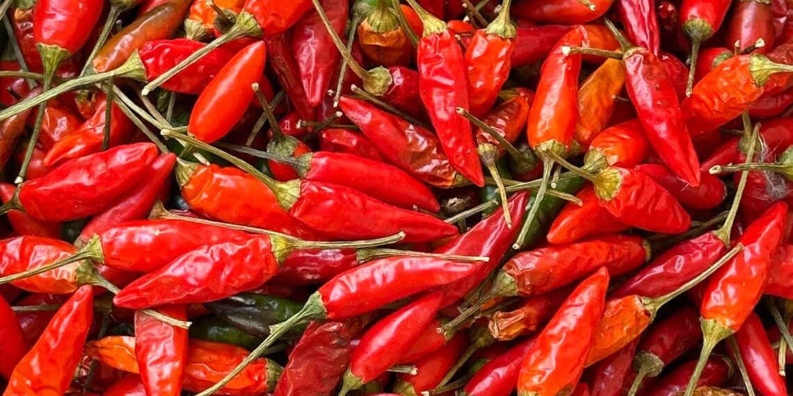 Malagueta ou piri-piri: a diferença, a história do nome e como conservar