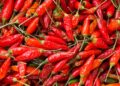Malagueta ou piri-piri: a diferença, a história do nome e como conservar