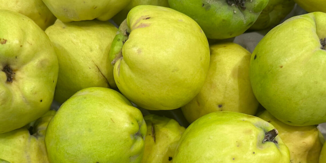 Marmelo: os benefícios desta fruta esquecida que quase ninguém come crua
