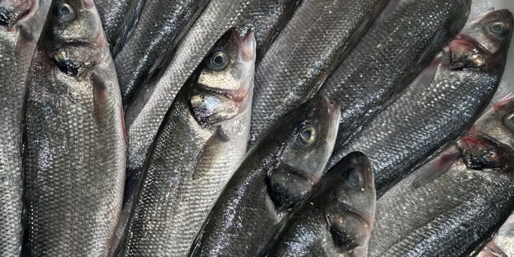 Robalo selvagem ou de aquicultura? Aprenda a ler o rótulo